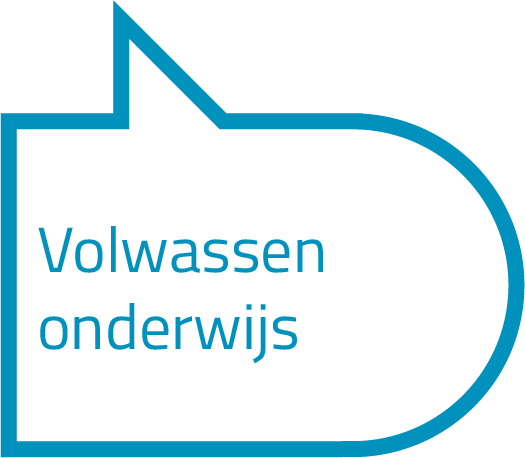 Volwassen onderwijs